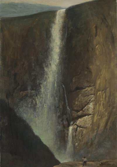 The Falls by Albert Bierstadt